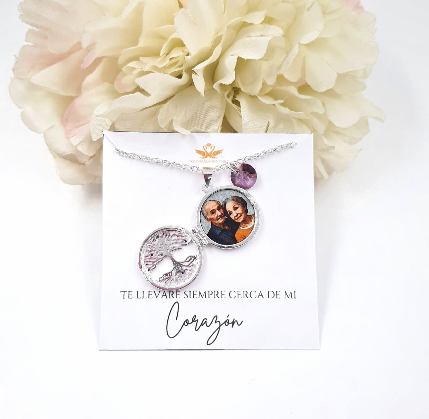 Collar Relicario árbol de la vida con microcircones plata 925