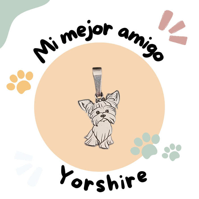 MASCOTAS EN PLATA