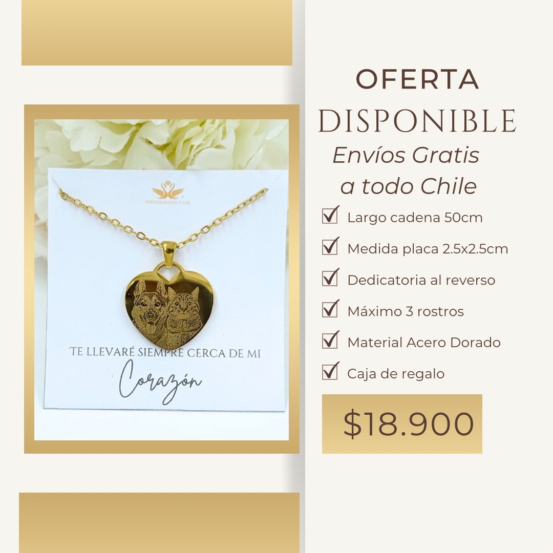 Collar corazón Acero Dorado