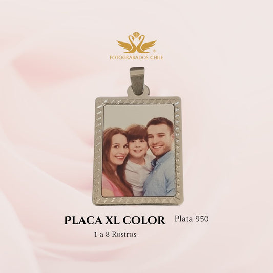 Placa Color Xl 1 a 8 rostros